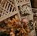 white flowers on brown wooden fence