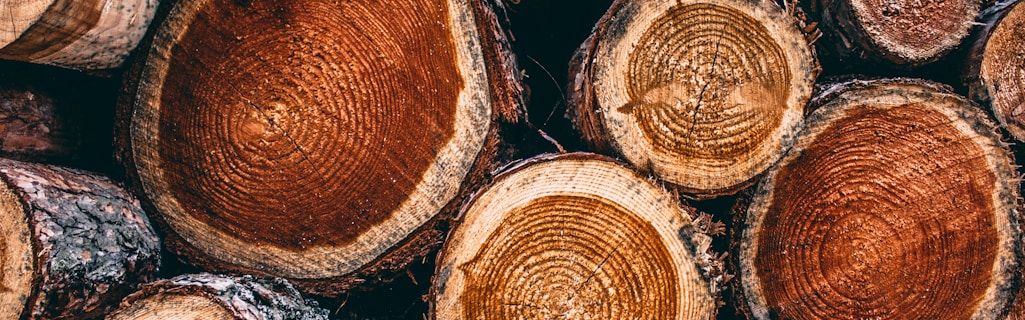 cut wood