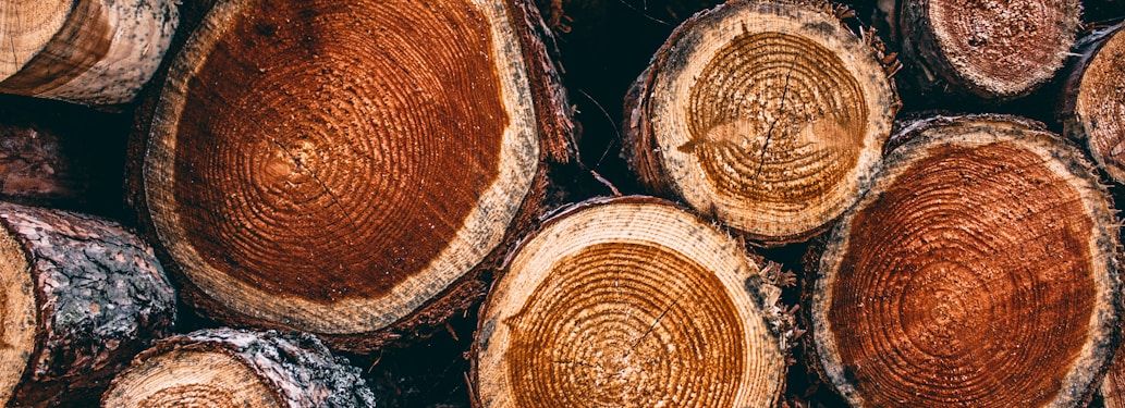 cut wood